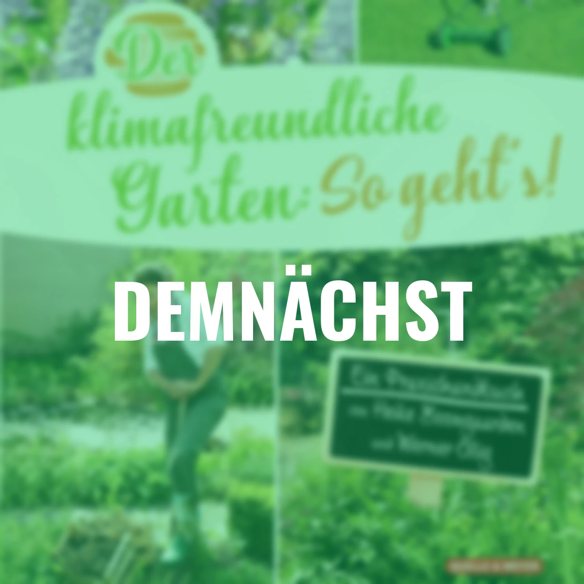 Der klimafreundliche Garten: So geht‘s!