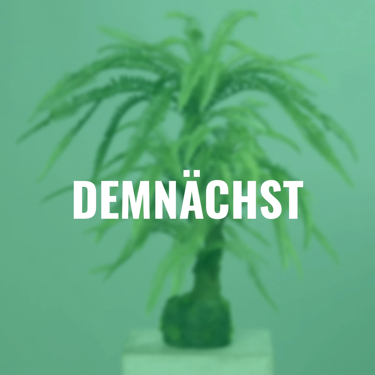 Kunstpflanze Farn im Erdballen, 63 cm