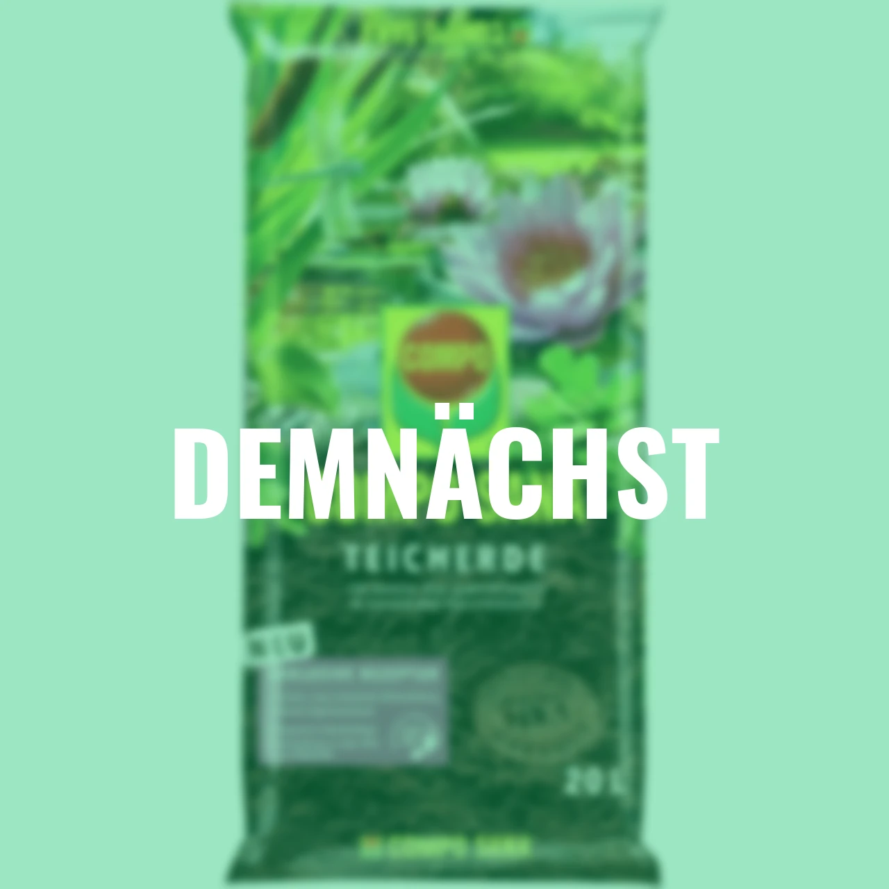 Sana Teicherde, 20 Liter