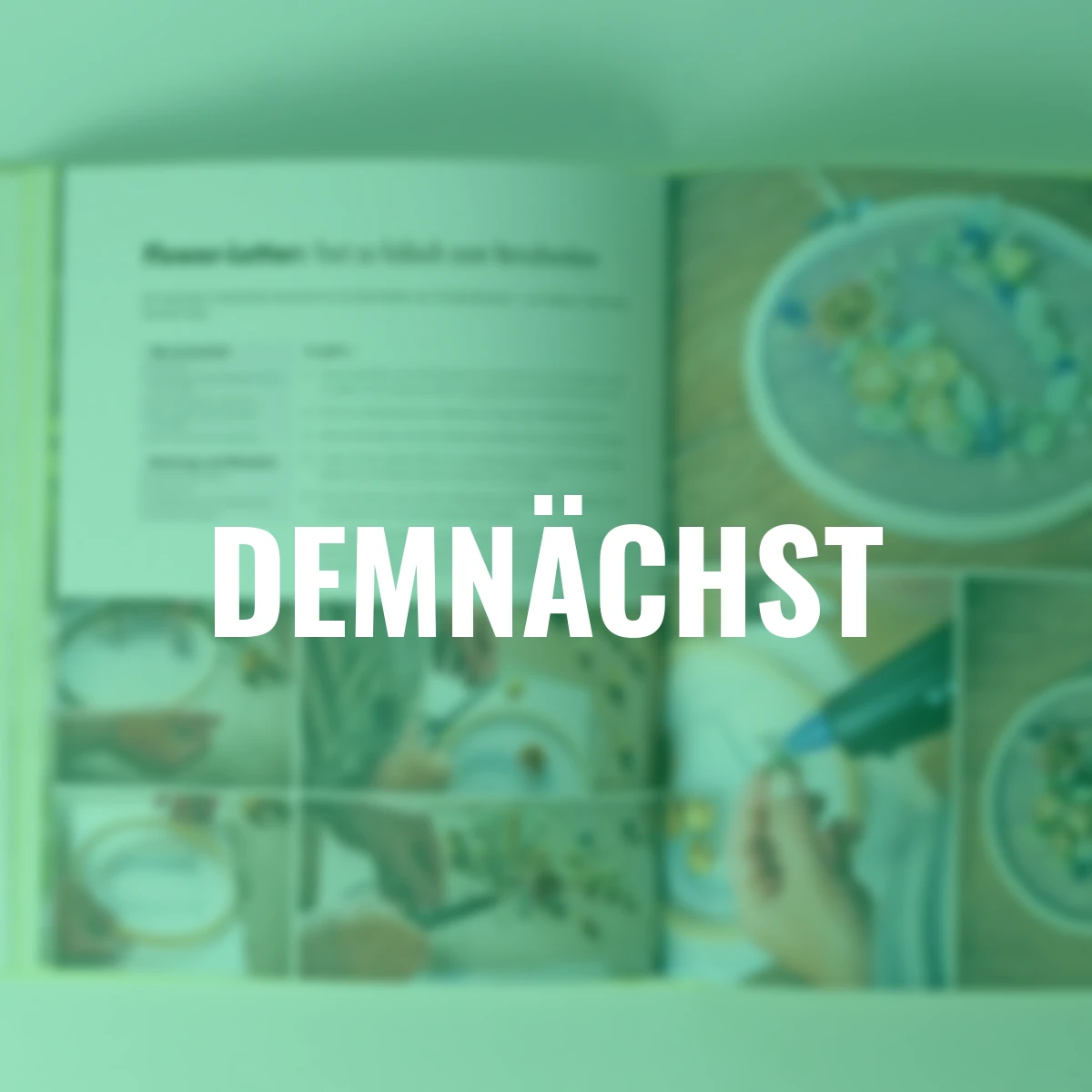 Projekte zum Anpacken