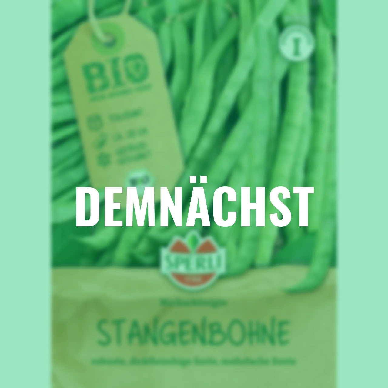 BIO Stangenbohnensamen Neckarkönigin