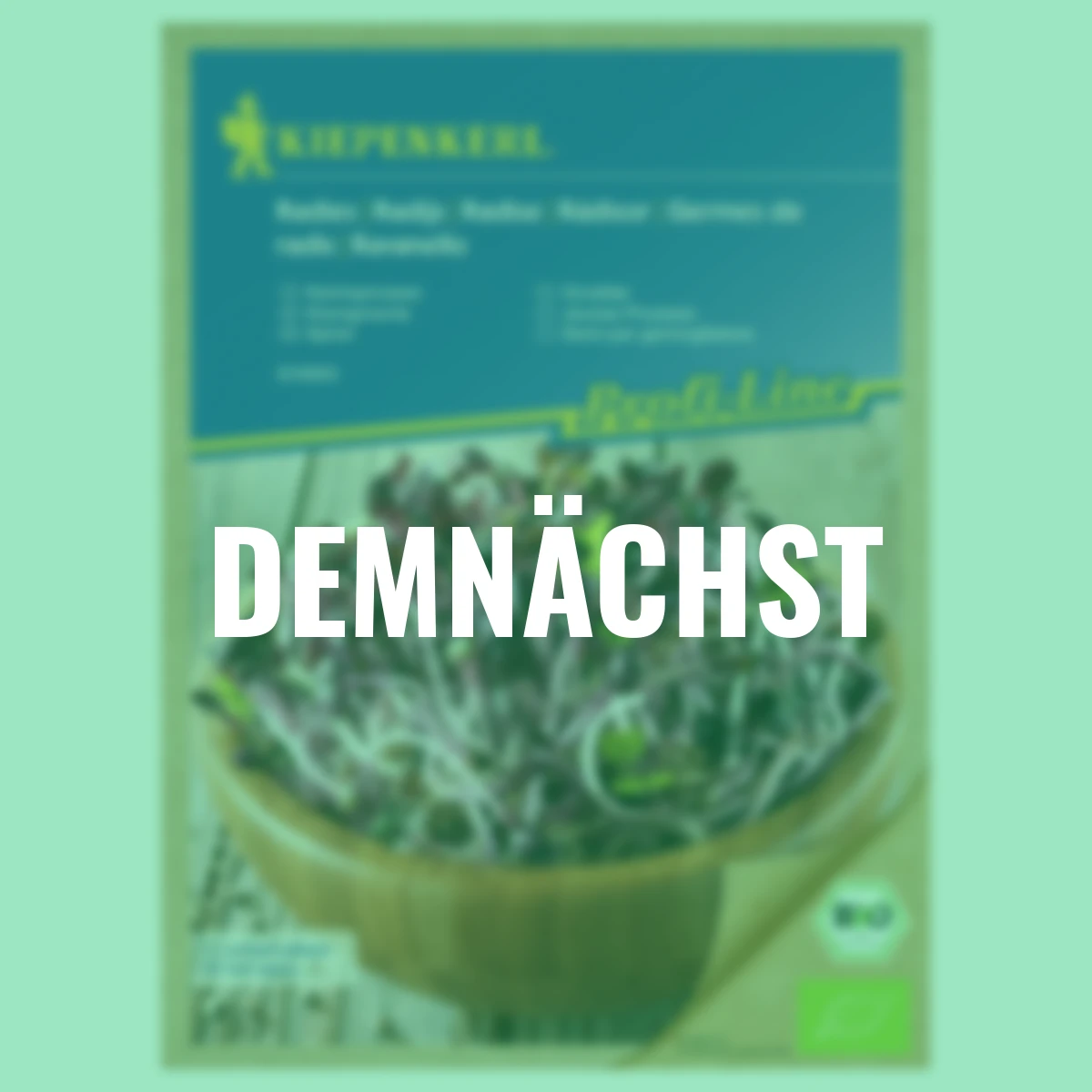 BIO Keimsprossen Radieschen rot, 30 g