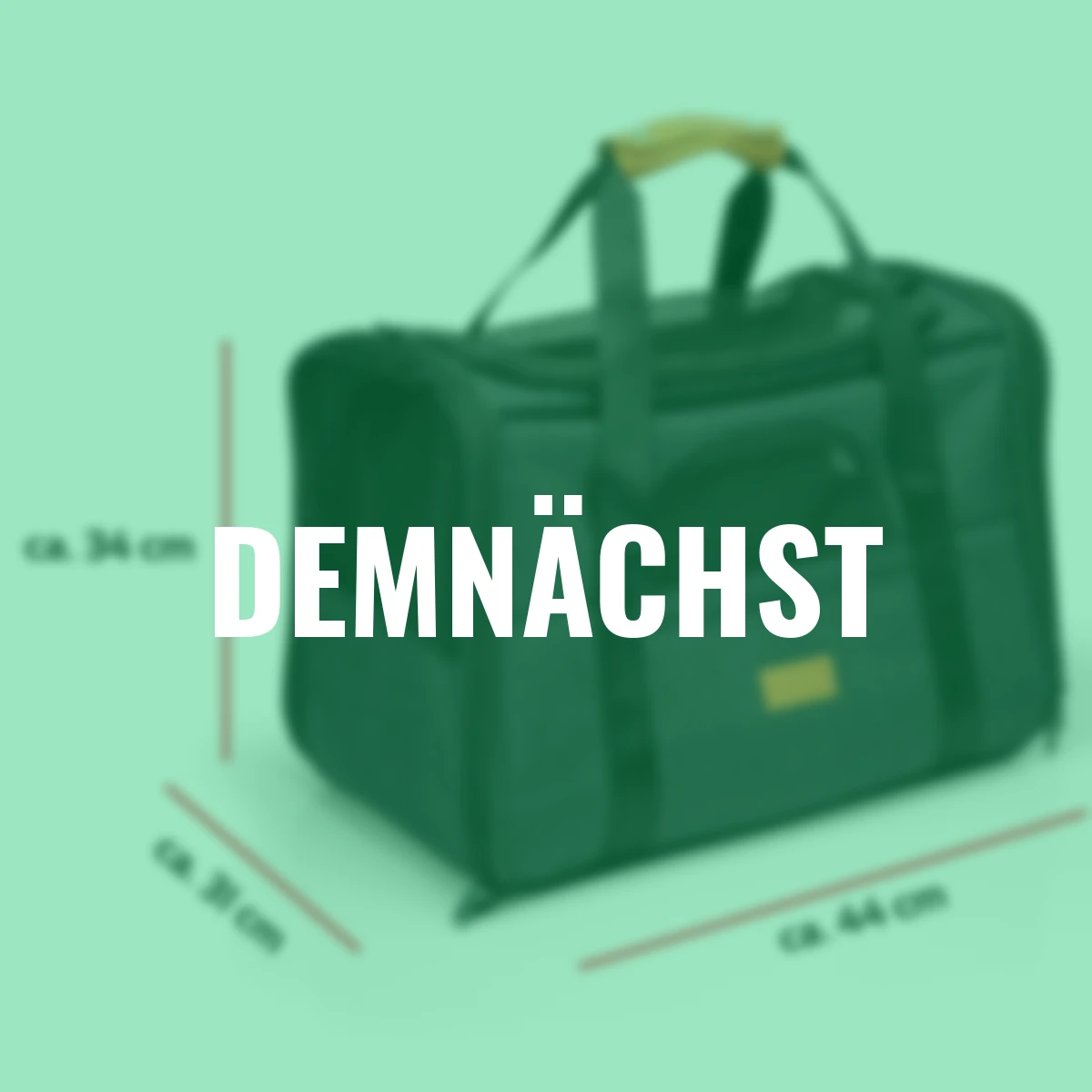 Reisetasche für Hund und Katze bis 5 kg, schwarz, 44x31x34 cm