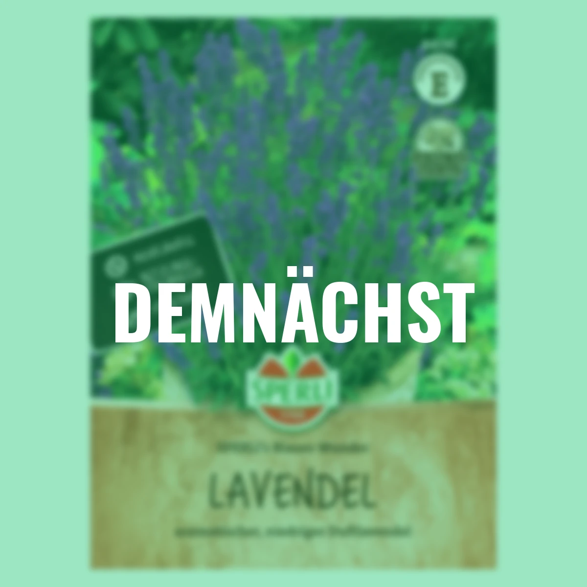 Lavendelsamen SPERLI's Blaues Wunder