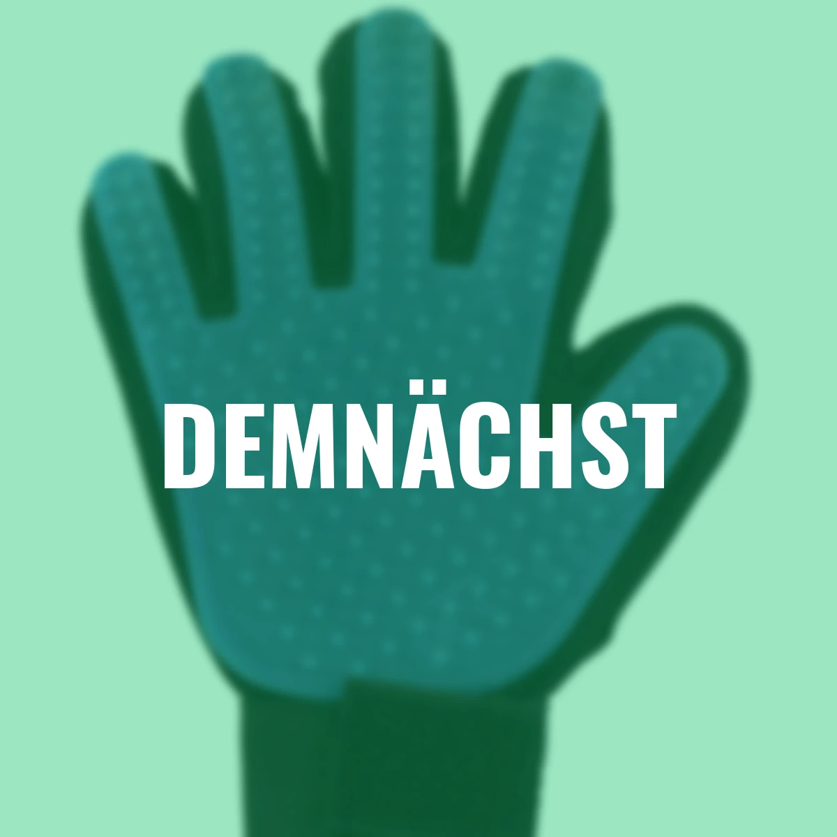 Tierhaar-Handschuh, schwarz/blau