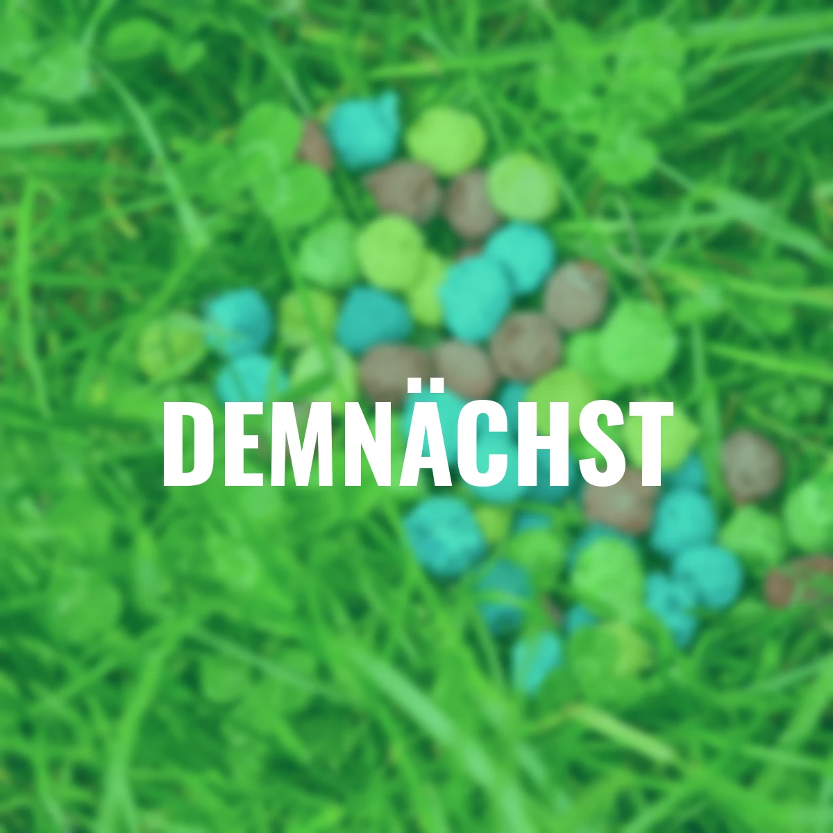 Bunte Blumenmurmeln, 25 St.