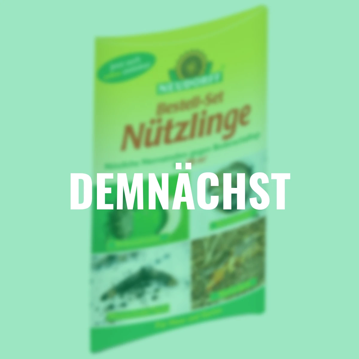 Bestell-Set Nützlinge gegen Bodenschädlinge