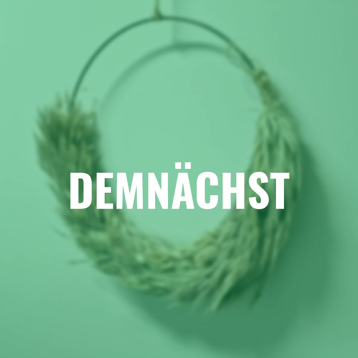 Trockenblumenring Carina, 40 cm