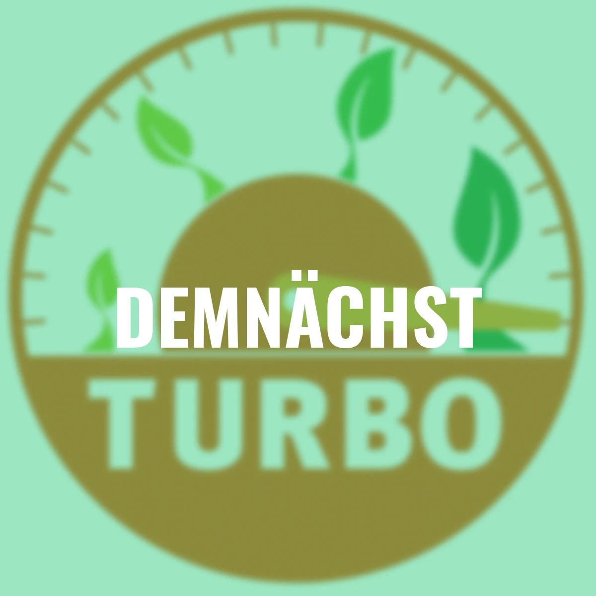 Ergo Hochbeet Wachstumsmodul XL