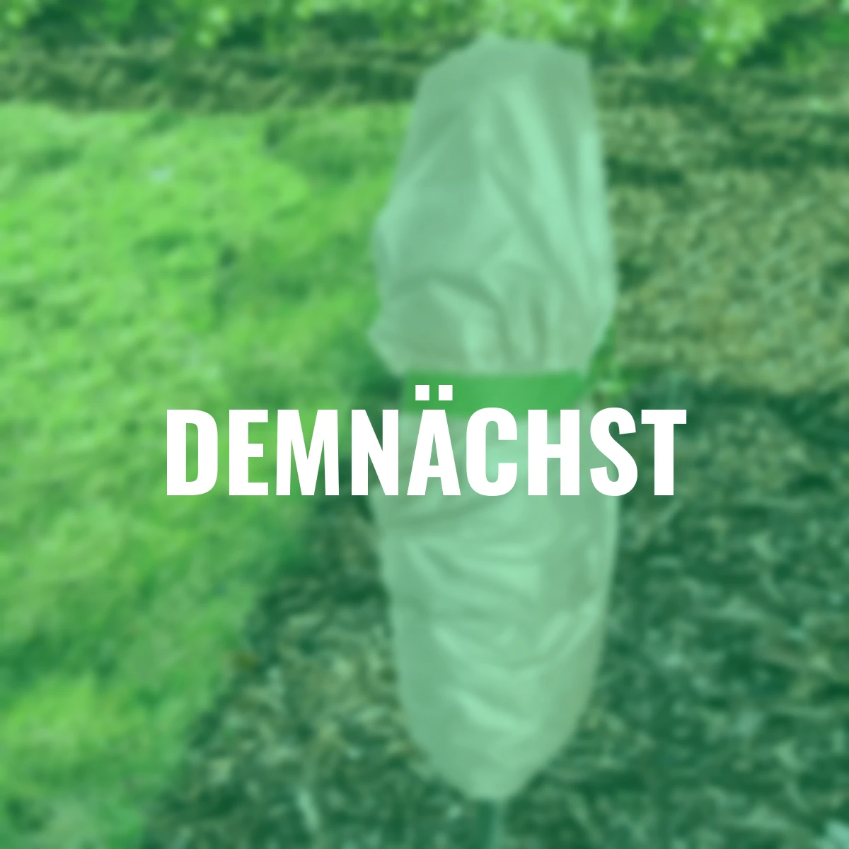 Wintervlies 150x500 cm