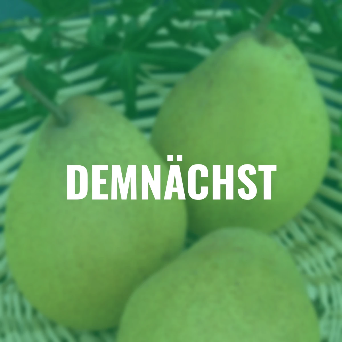 Birne Köstliche von Charneux