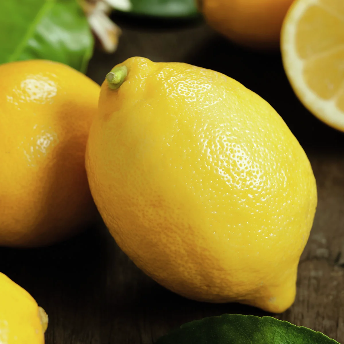 Zitronen-Stamm, im ca. 19 cm-Topf