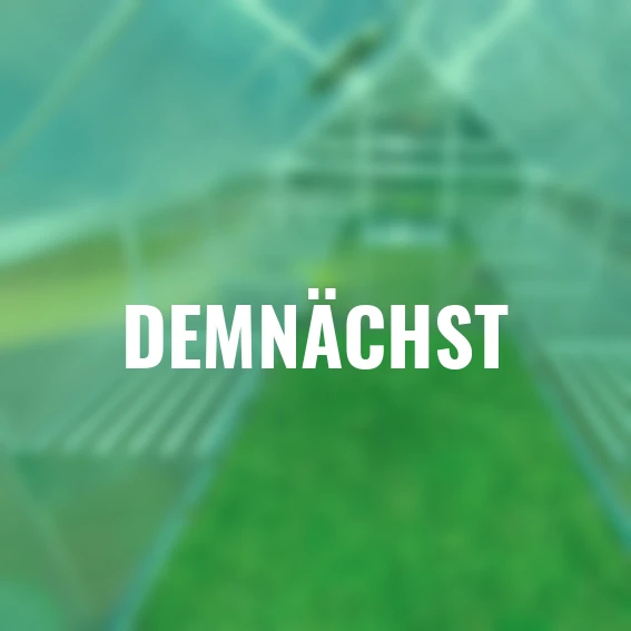 Aluminium Gewächshausregal mit 3 Clips, 58 x 42 x 20 cm, silber