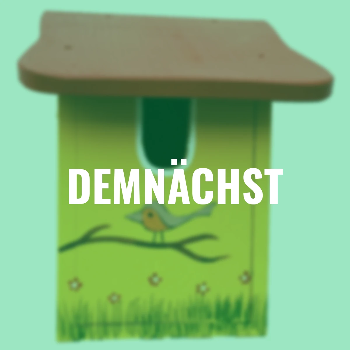 Nistkasten Rotkehlchenparadies