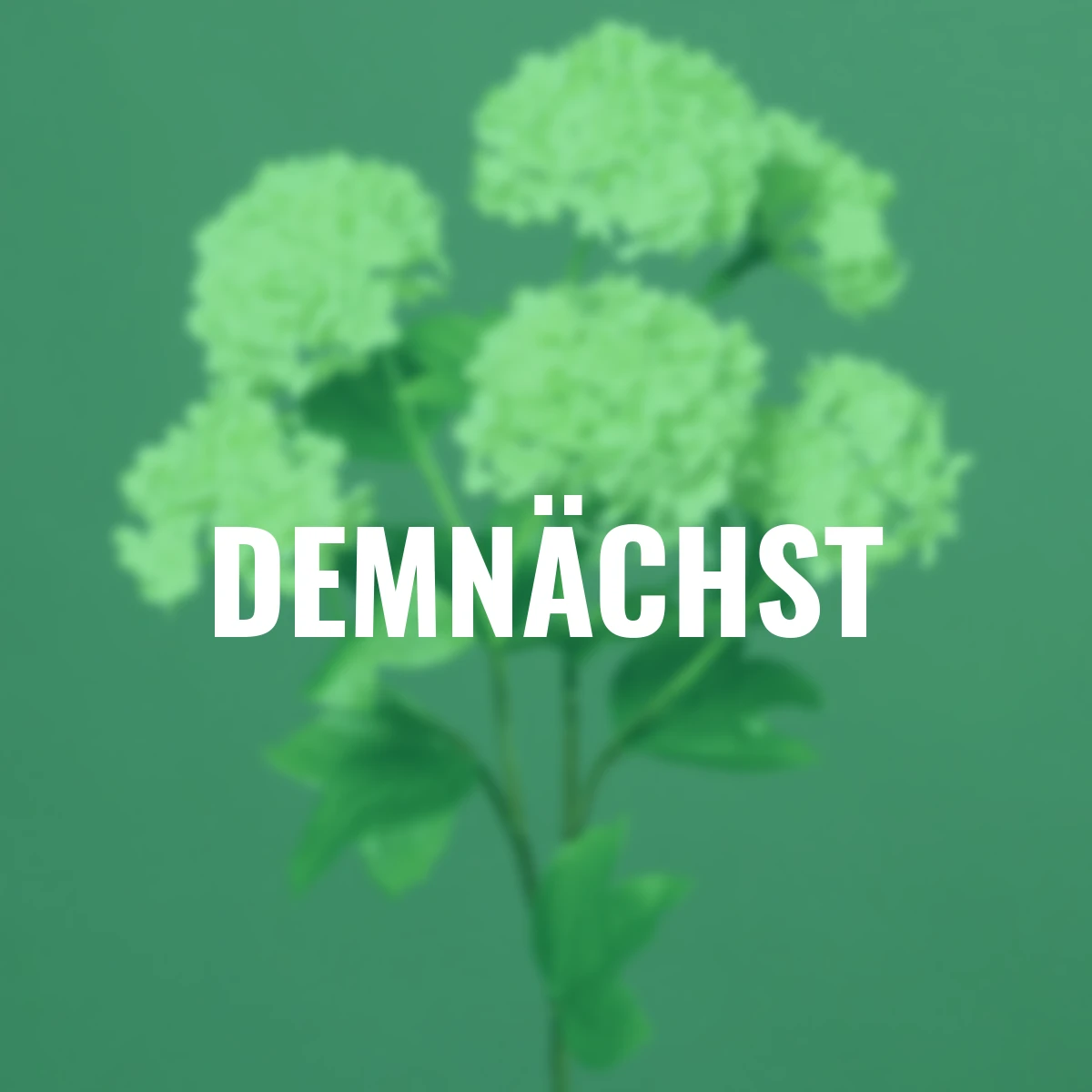 Kunstpflanze Schneeball, grün