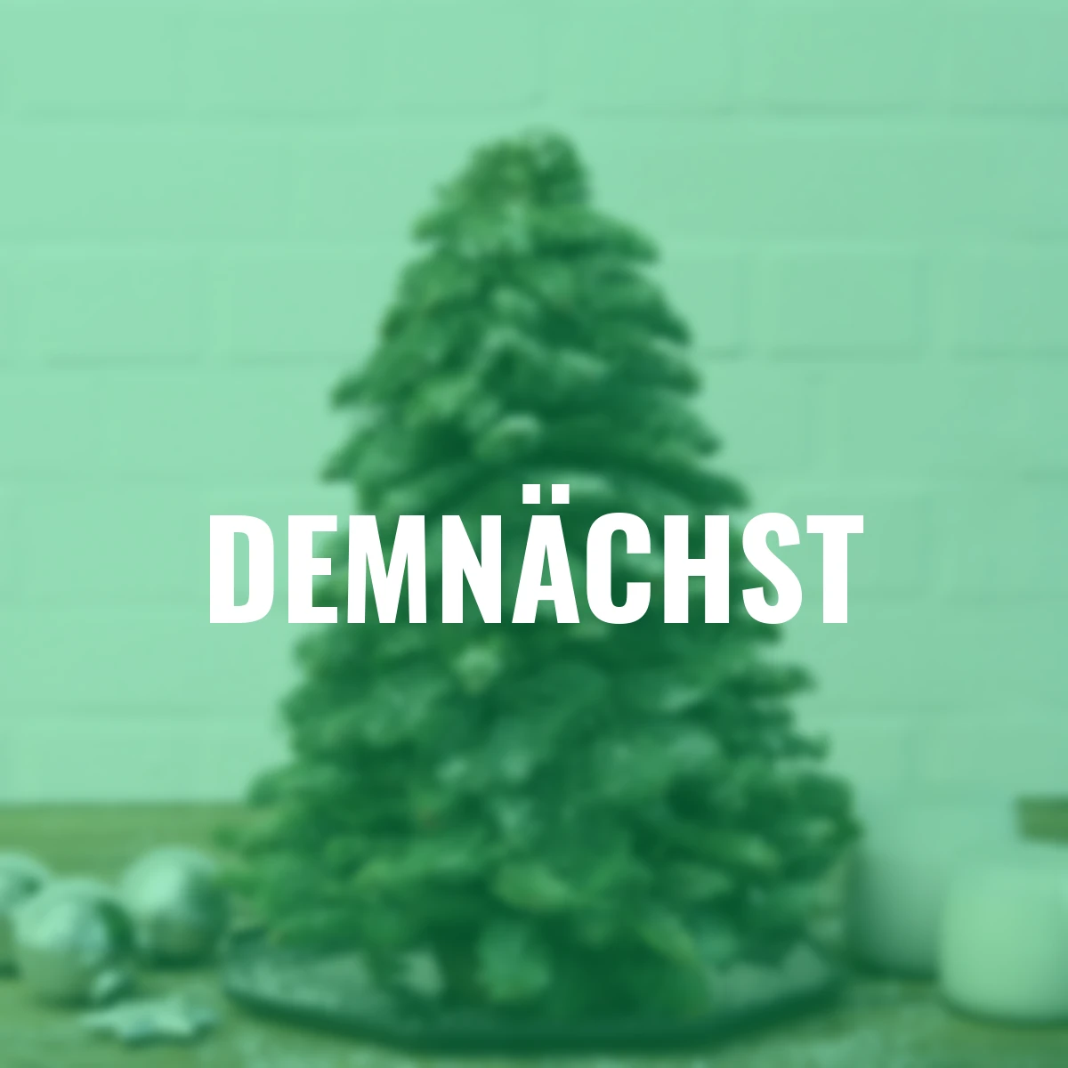 Nobilis- Weihnachtsbäumchen, mittel