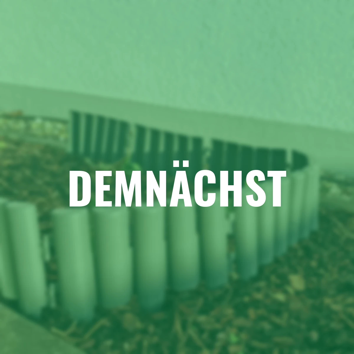 Rasenkante Classic, 8er-Set, 2 m