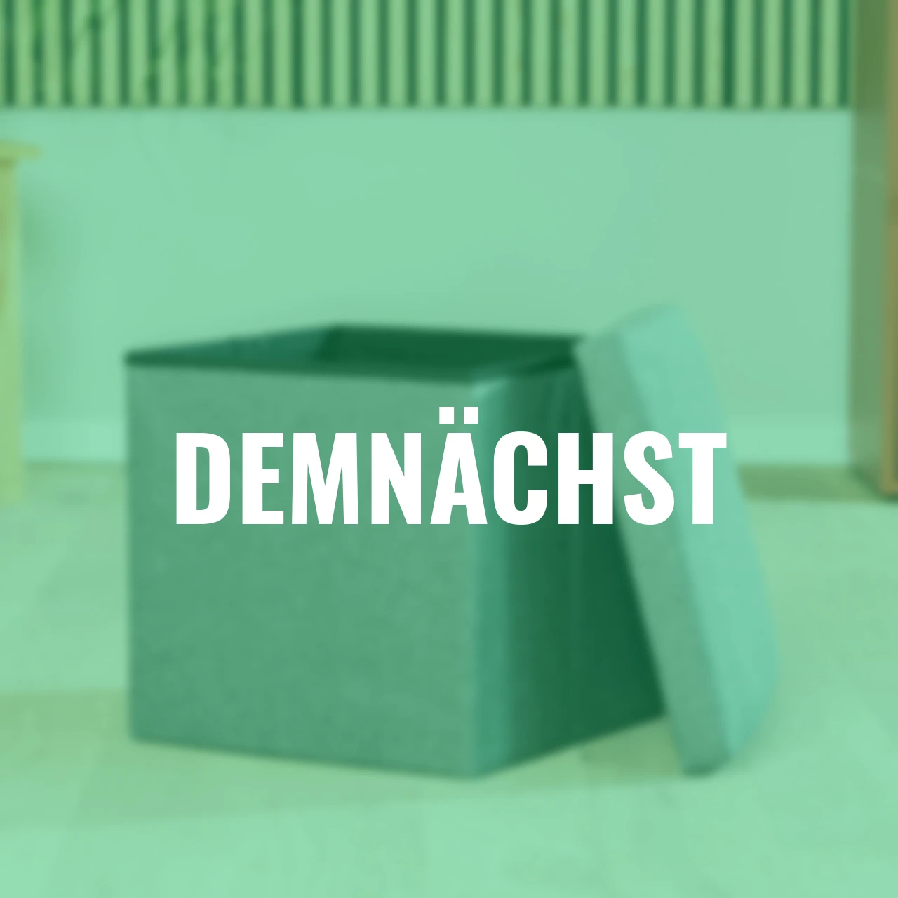Hocker mit Aufbewahrungsfunktion