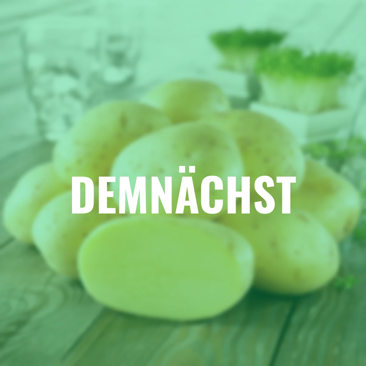 Kartoffel Anuschka, 10 Stück