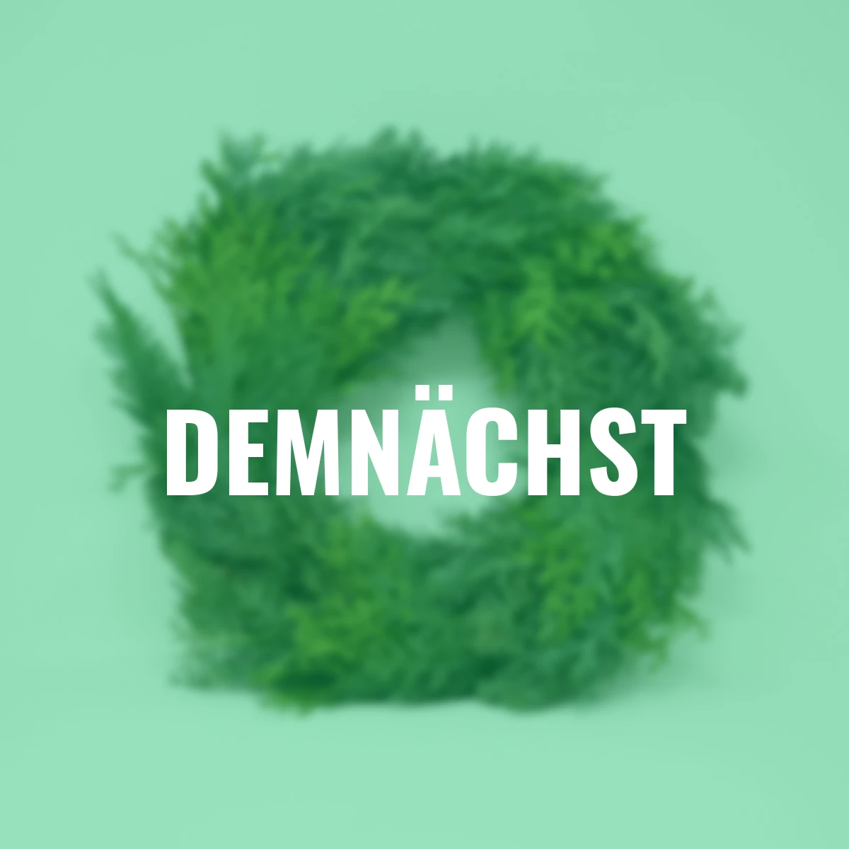 Koniferen-Mix-Kranz 30 cm