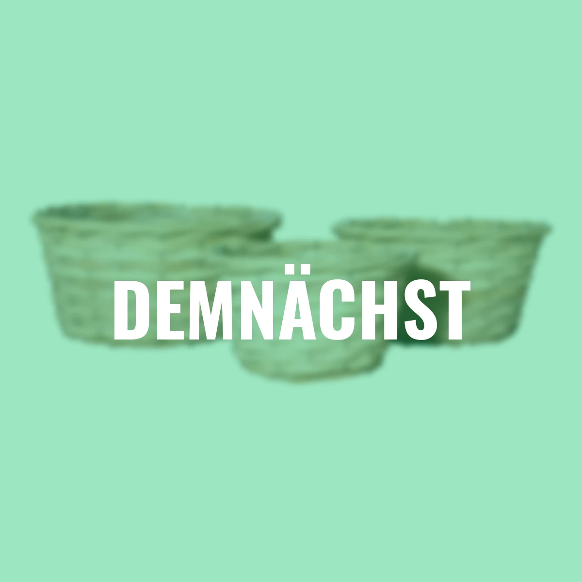 Holzspan-Korb, 3er-Set, rund, natur