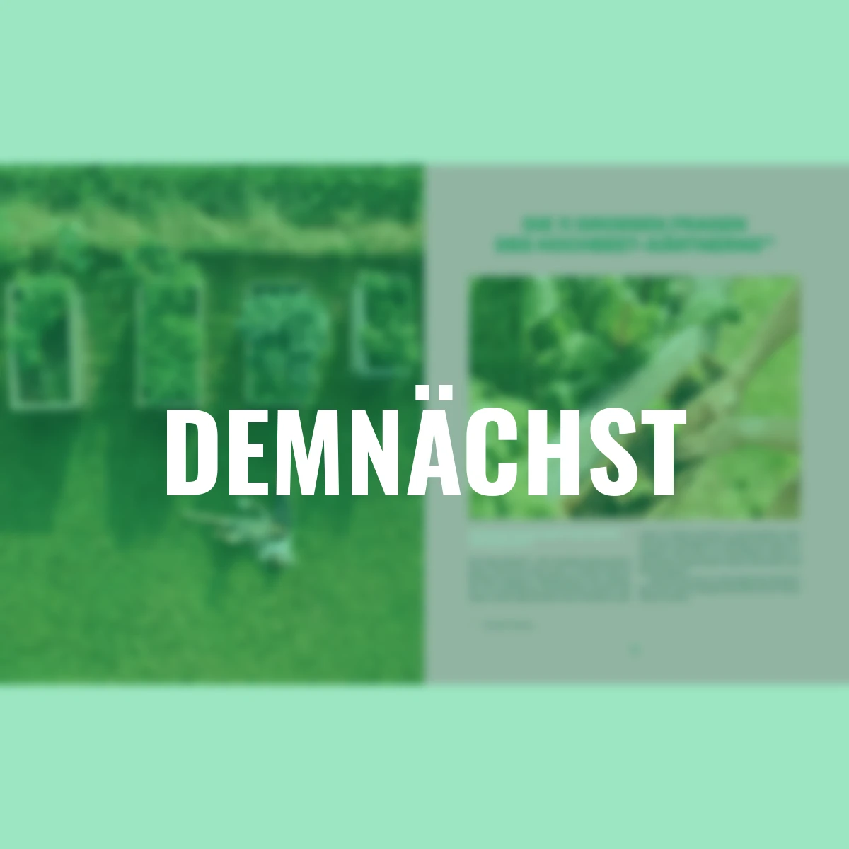 Das große Hochbeet-Buch