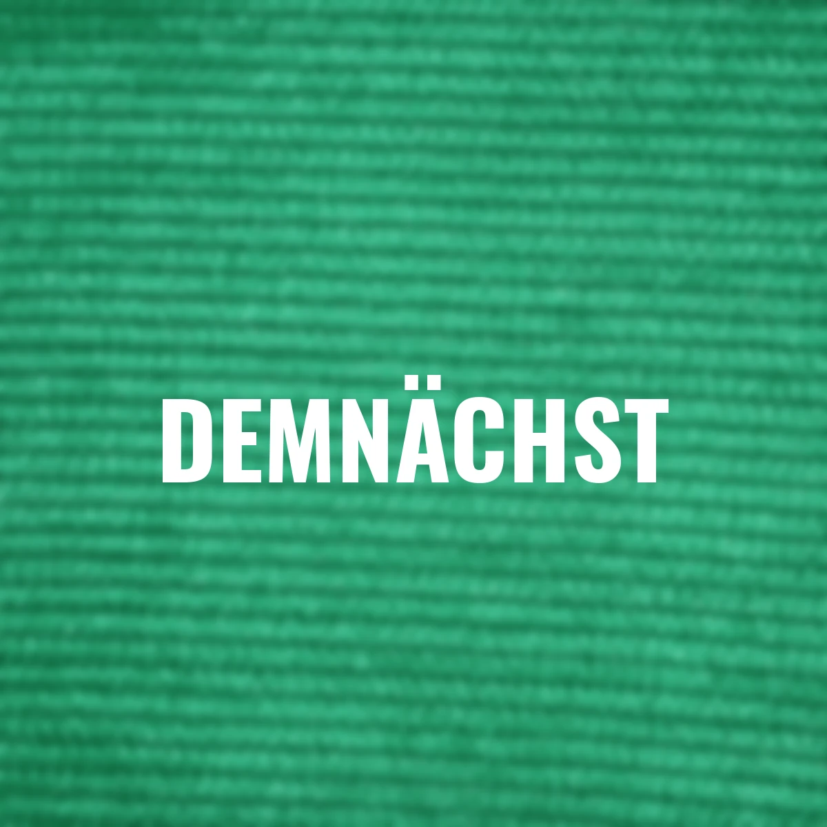 Schattennetz, 2,30 x2,65 m, grün