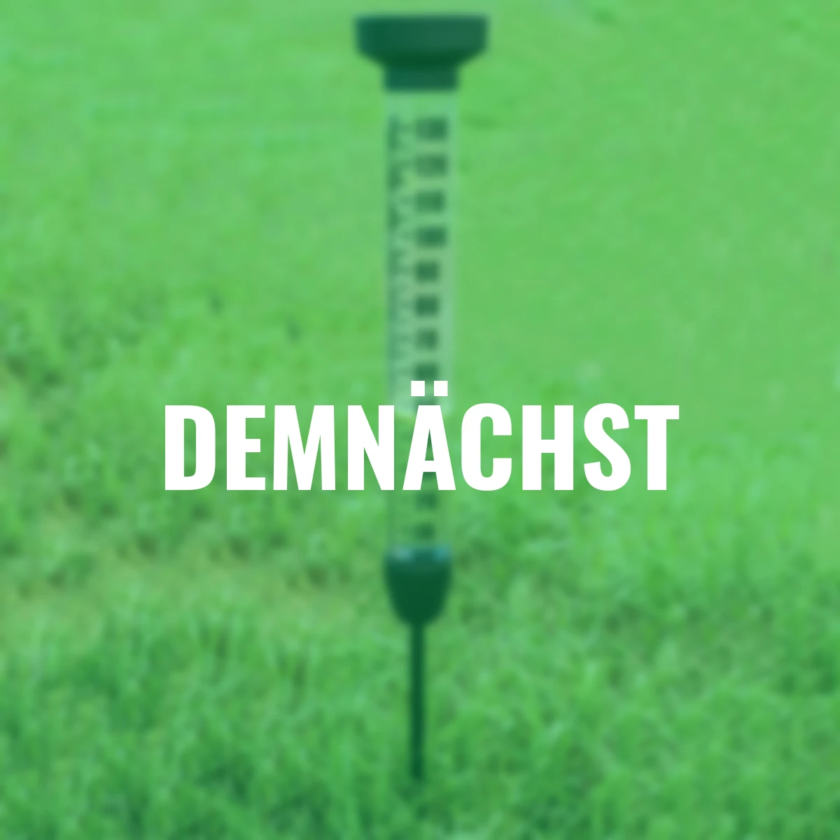 Design Regenmesser, aus Kunststoff, ca. 105 cm