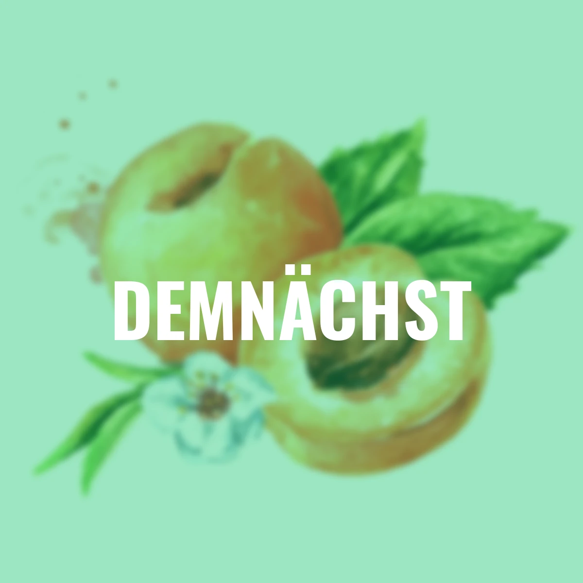 Aprikose Ungarische Beste