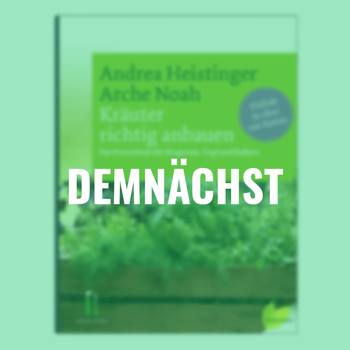 Kräuter richtig anbauen