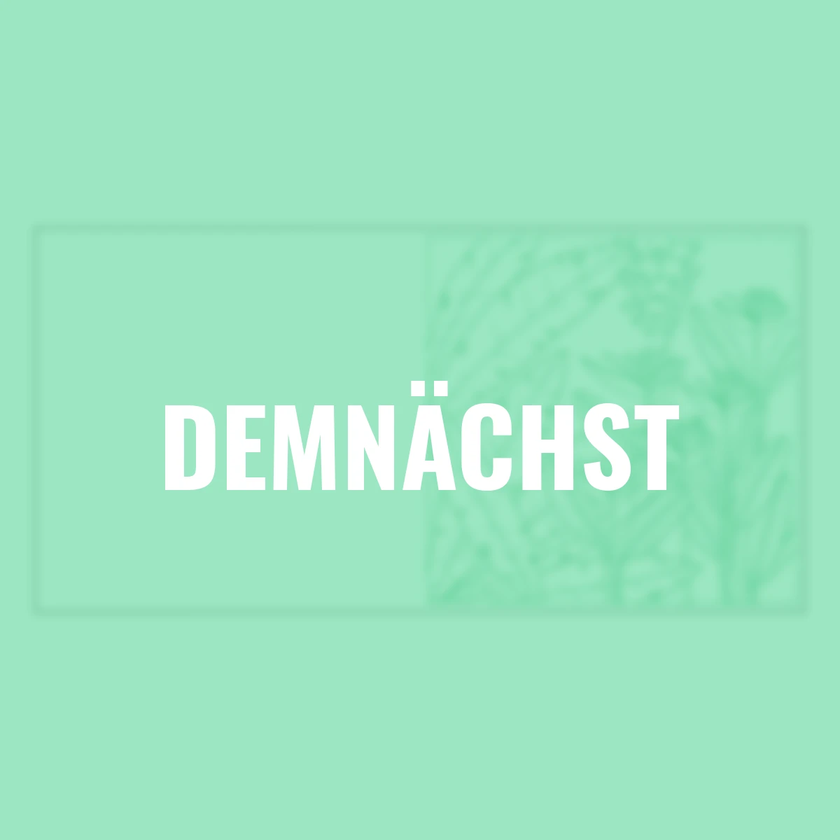 Colorful Moments - Botanicals