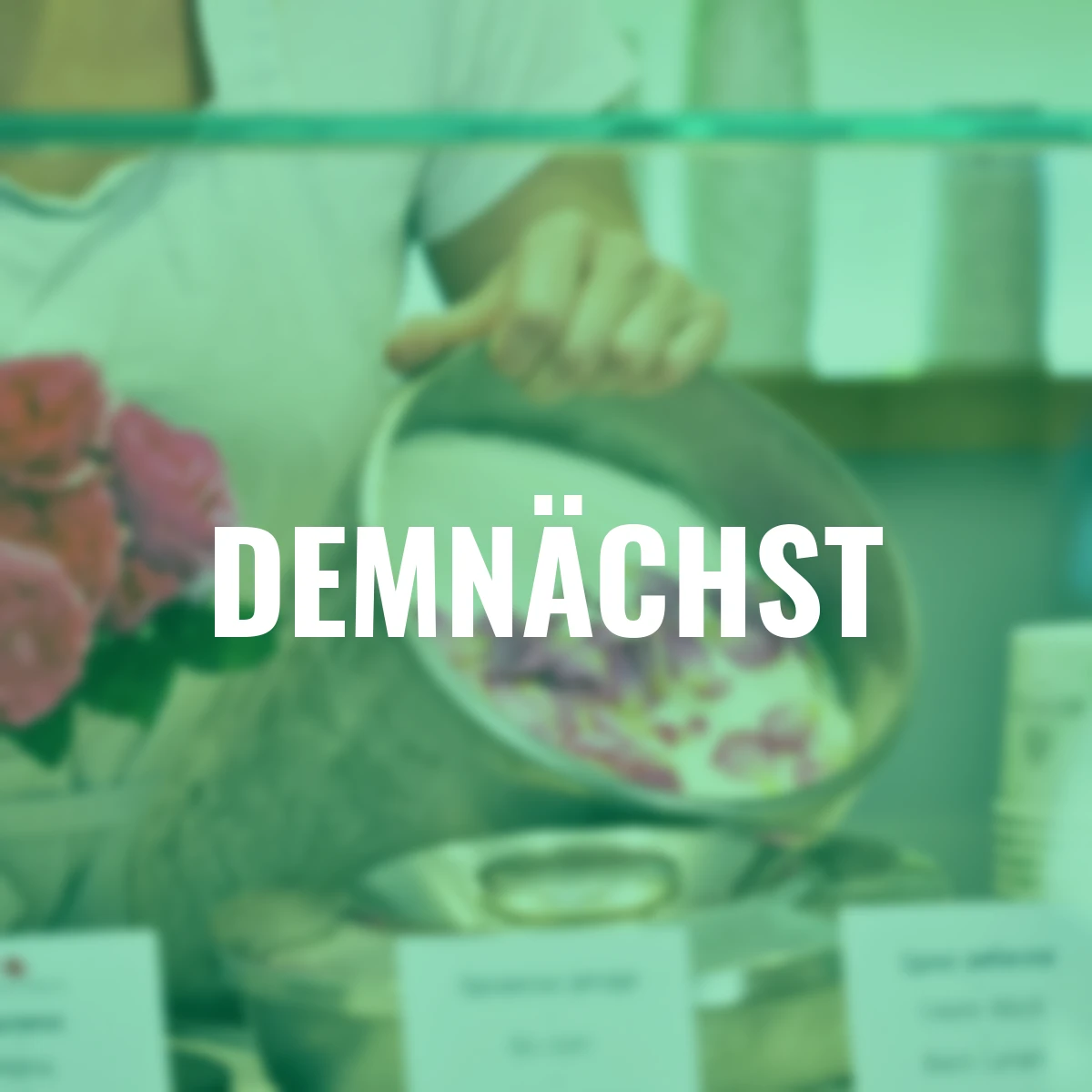 Essbare Culinaric Rose, rosa-apricot