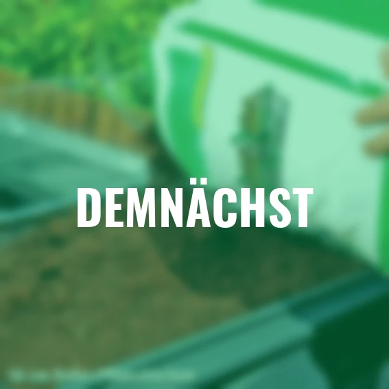 Hochbeet Plant Inn, 118 x 118 x 148 cm, anthrazit, silber