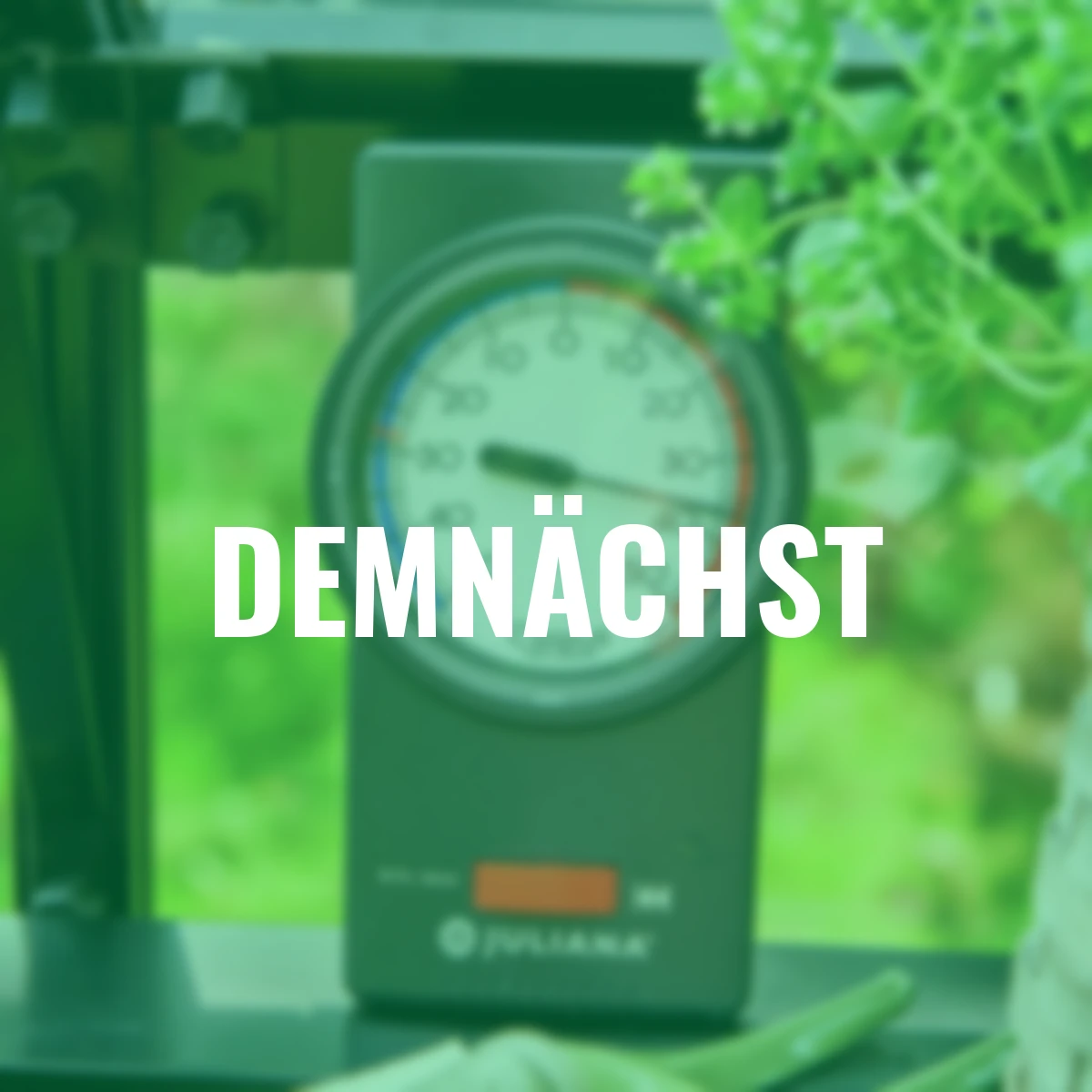 Gewächshausthermometer