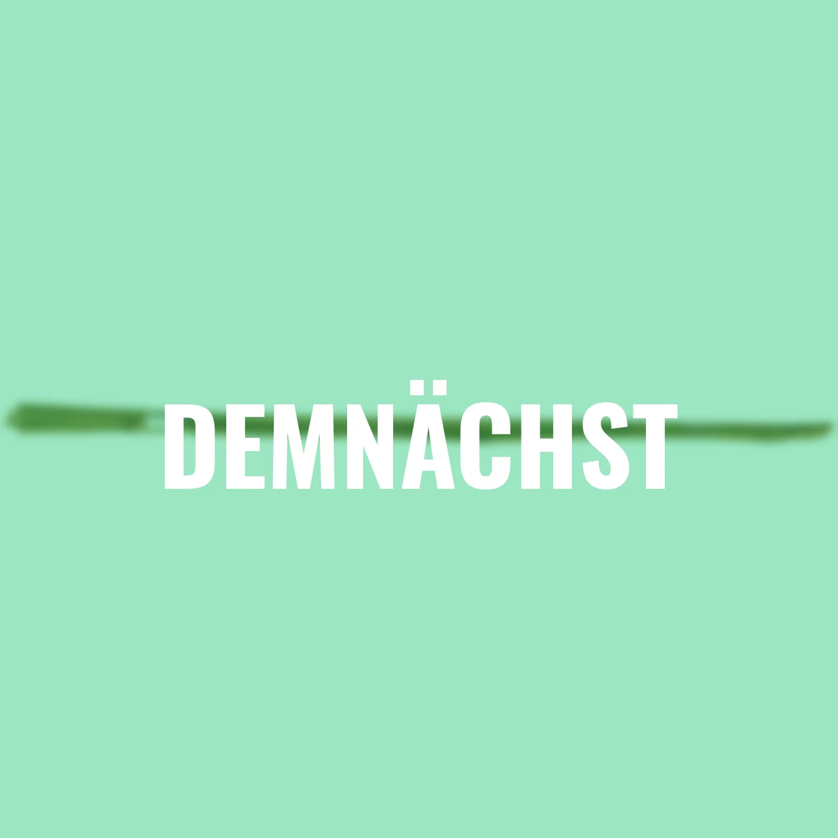 Bambusstäbe 5er-Set, 75cm