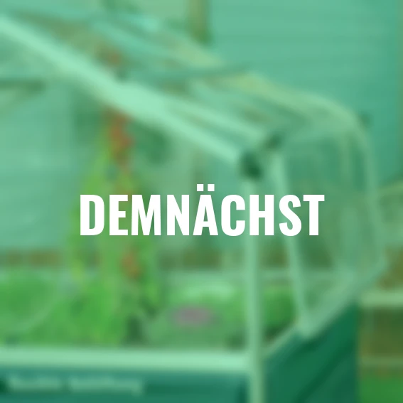 Hochbeet Plant Inn, 118 x 118 x 148 cm, anthrazit, silber