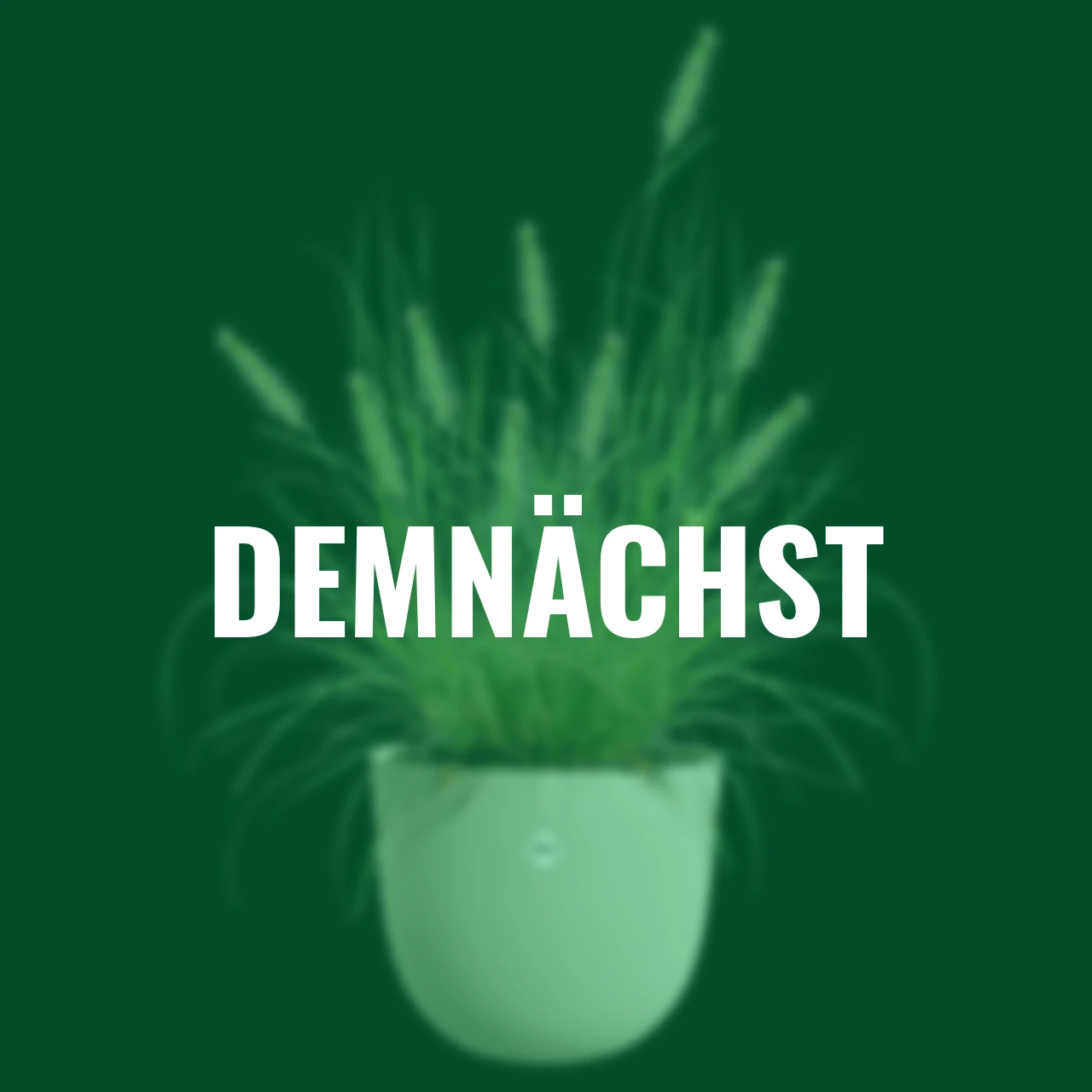 Pflanztopf Sereh 30 cm beige