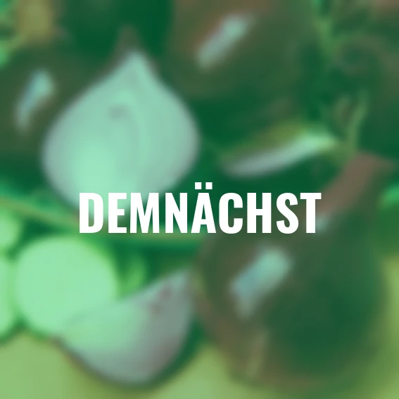 Steckzwiebel Karmen, präpariert, 250 g