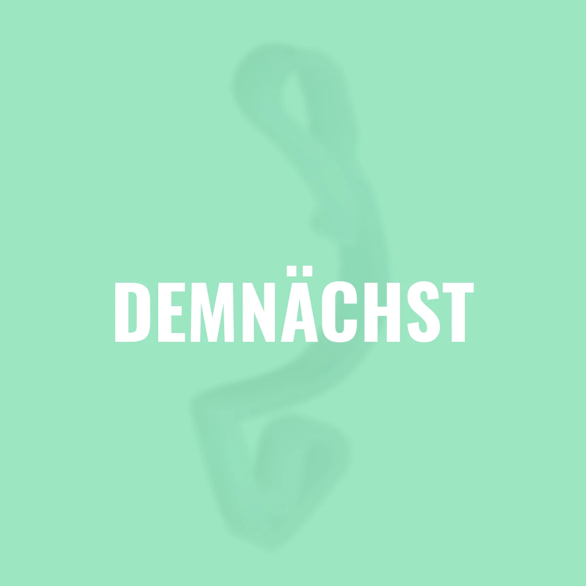 Dachrinnenhaltung, 10er Set, weiß