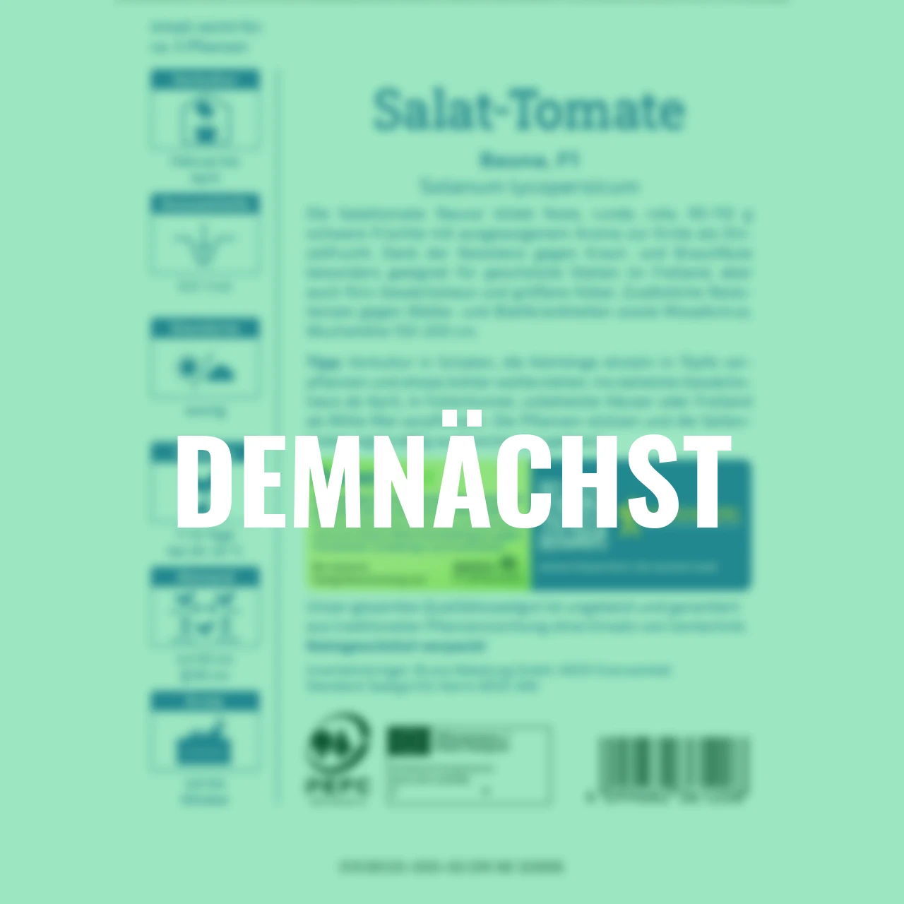Salat-Tomate Bauna F1 PowerSaat