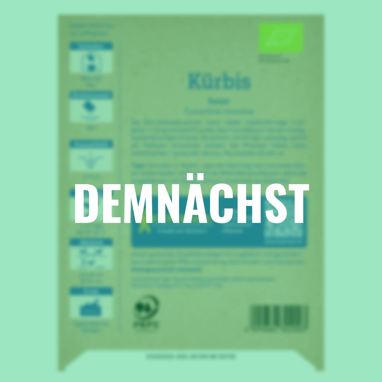 BIO Hokkaido Speisekürbissamen