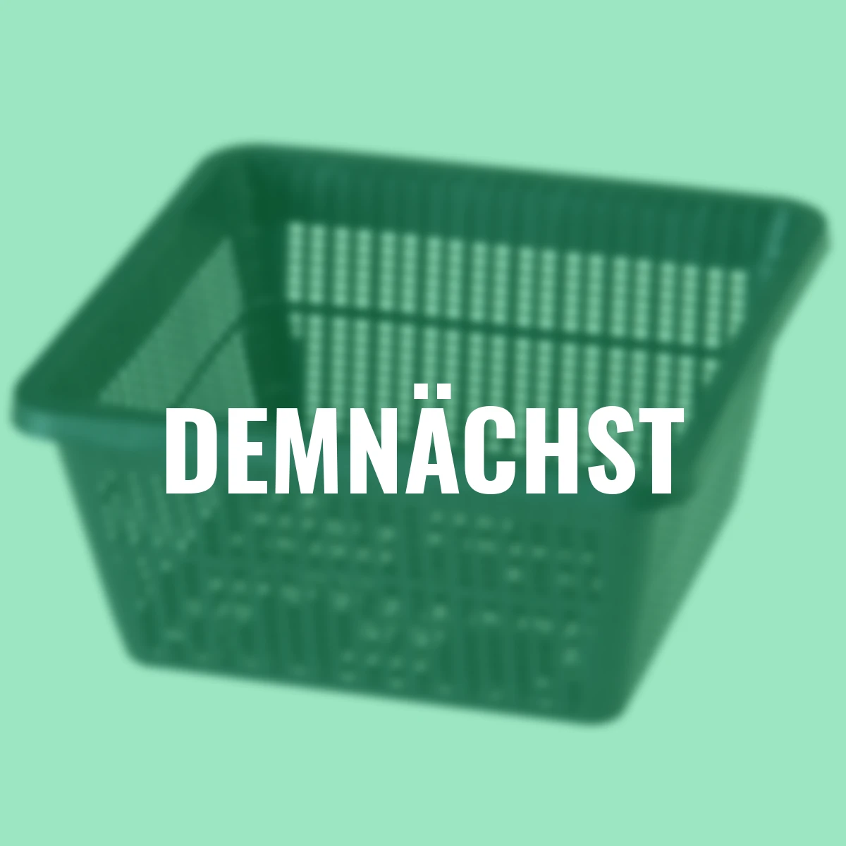 Teichpflanzkorb, 9x19x19 cm, anthrazit-schwarz