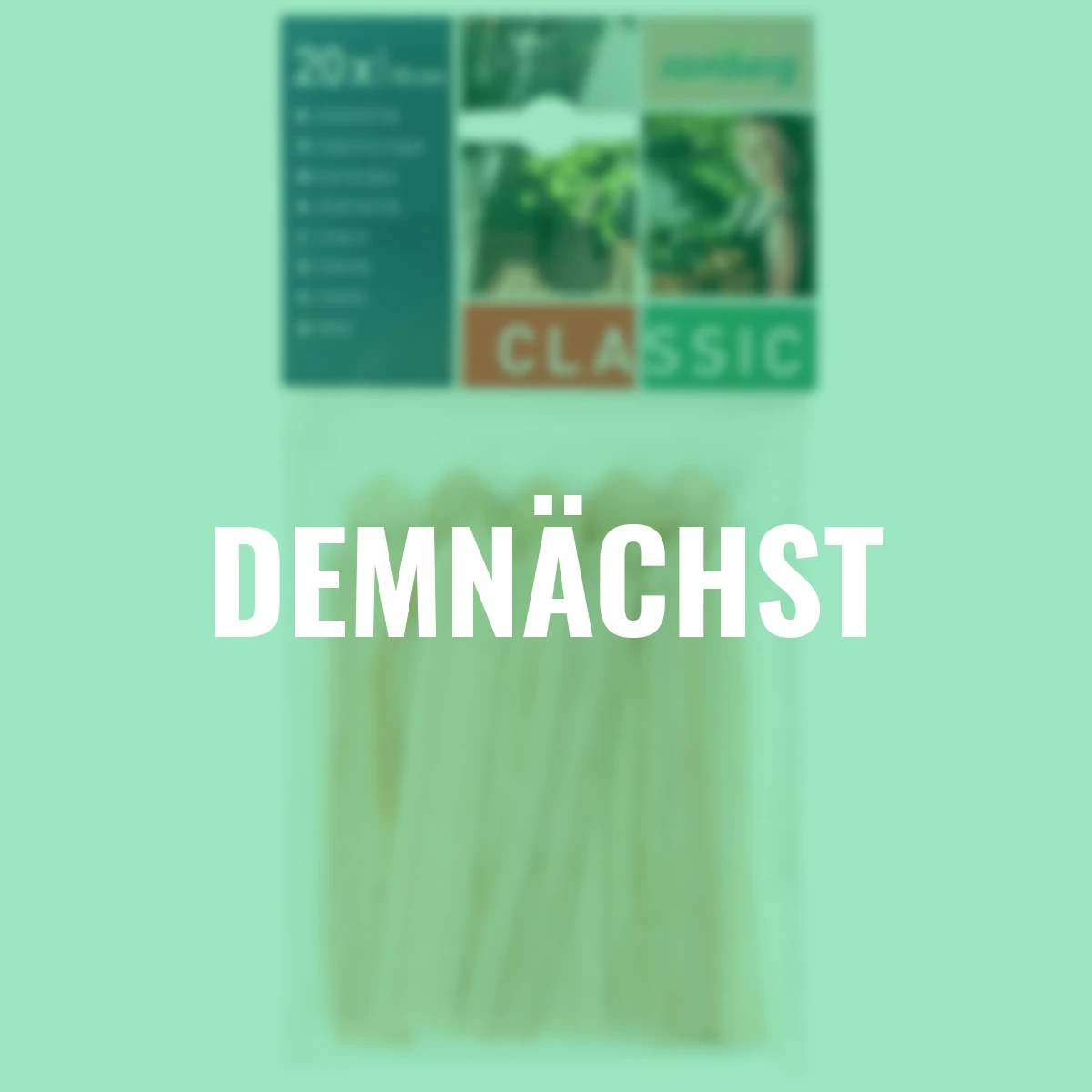 Holzstecketiketten 20 Stück à 10 cm