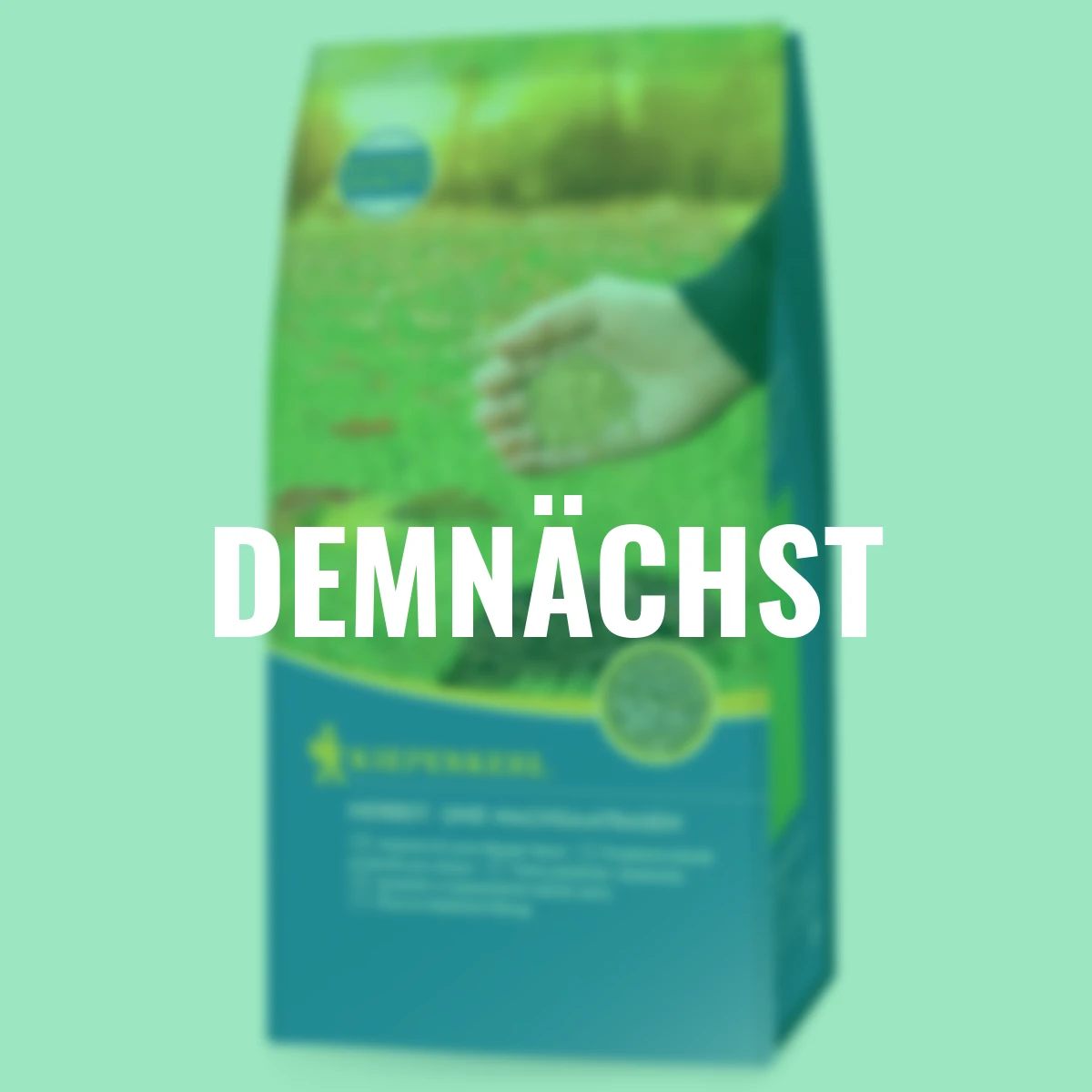 Herbst- und Nachsaatrasen, 1 kg