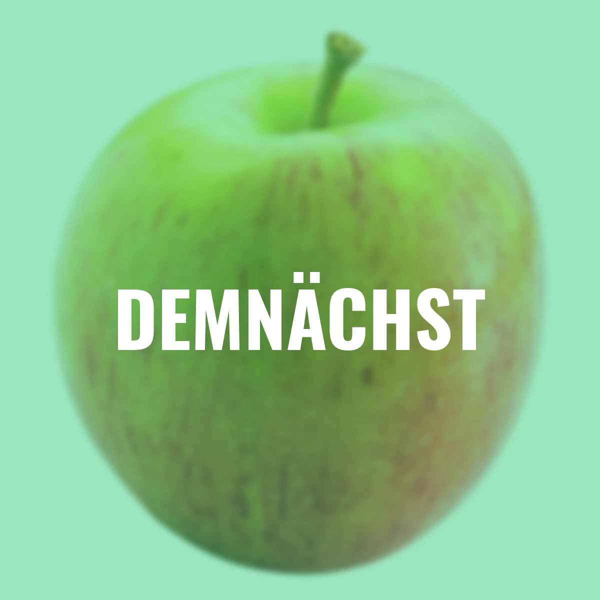 Zwergobst Apfel Delicado