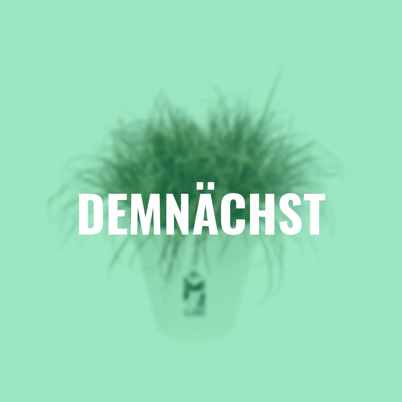 Pflanztopf Loft Urban 25 cm weiß