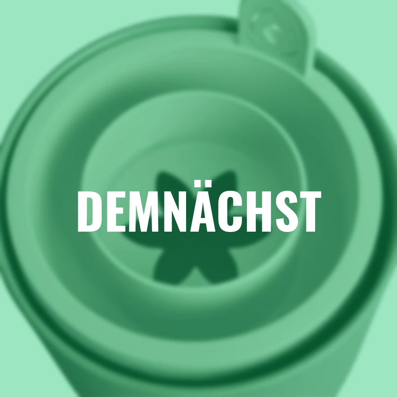 Avocado-Topf Amazing Avocado 12 cm grün