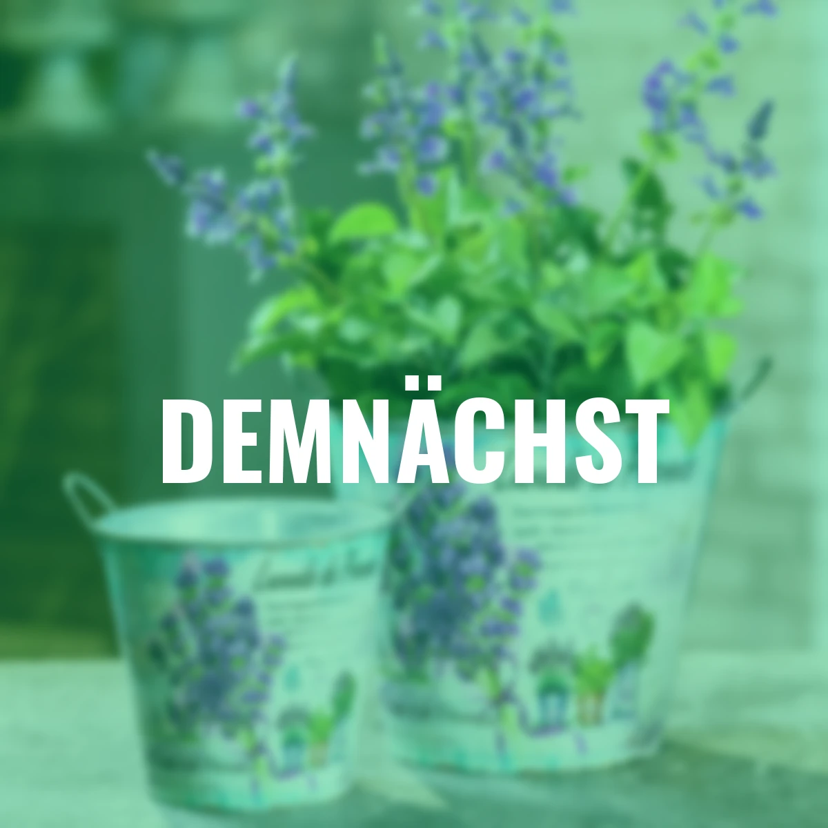 Zinktopf mit Lavendelmotiv, 2er Set, klein