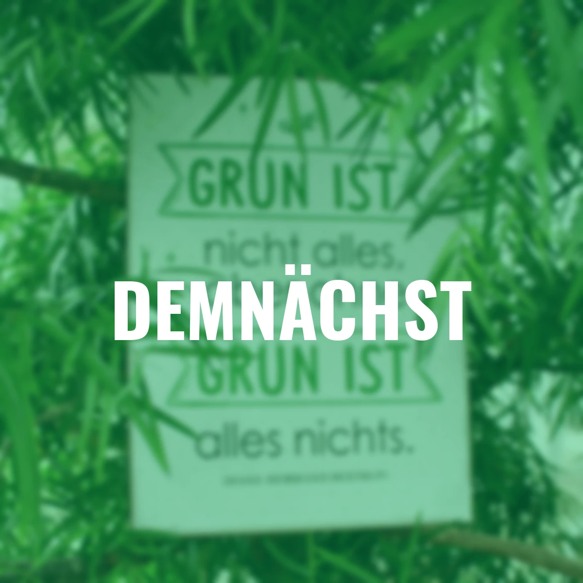 Metall-Schild, Grün ist…