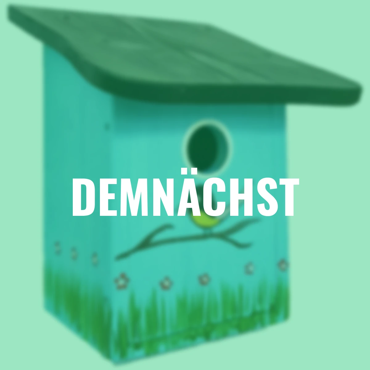 Nistkasten Kohlmeisenparadies, blau